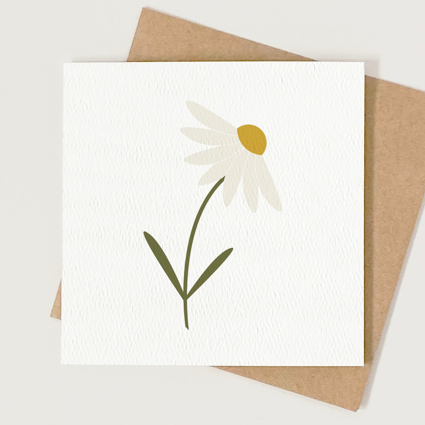Single Stem Daisy Occassion Card