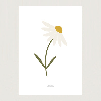 READY TO POST - A4 Single Stem Daisy Print